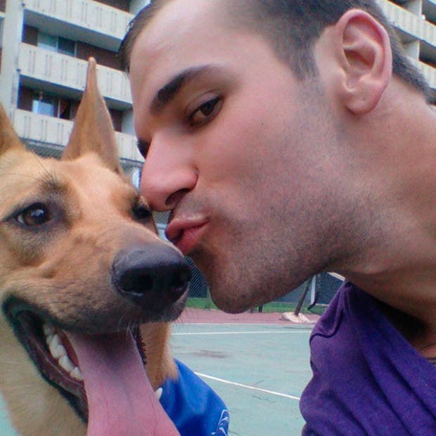 perros esperan13