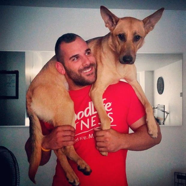 perros esperan5