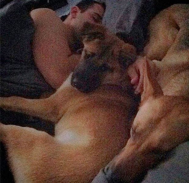 perros esperan6