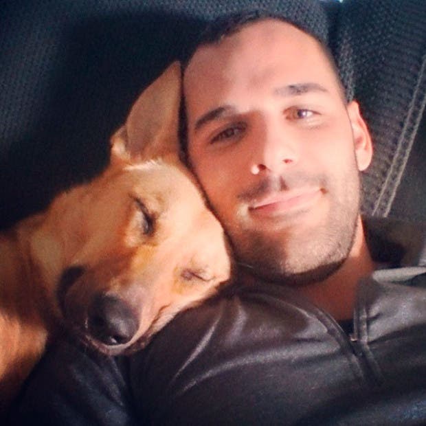 perros esperan7