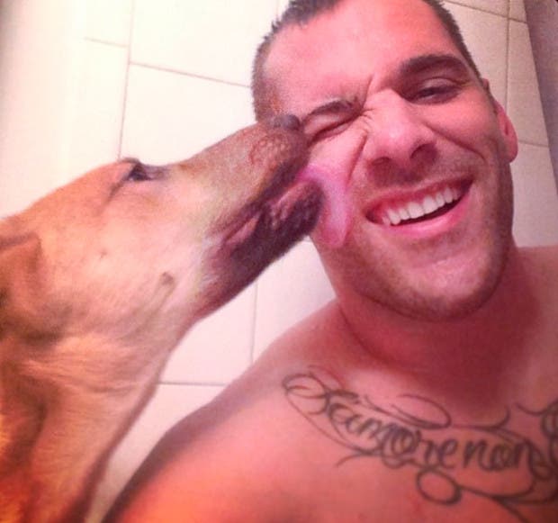 perros esperan8