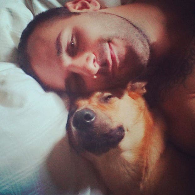 perros esperan9