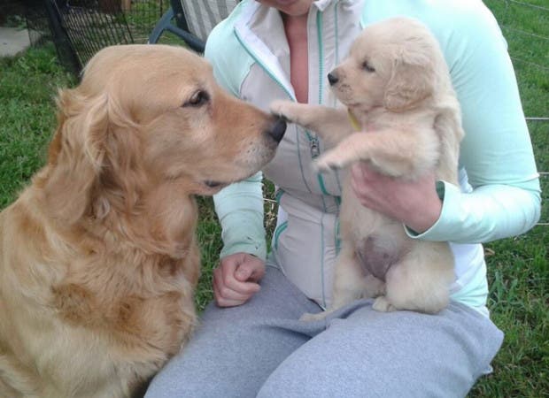 boop