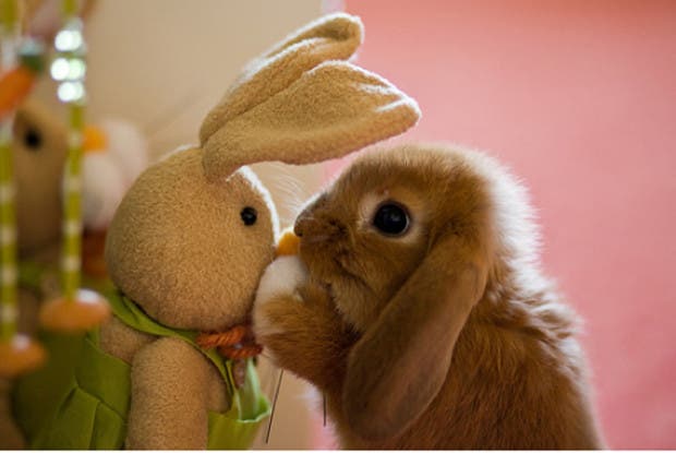 boop16