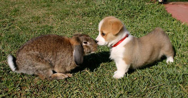 boop21