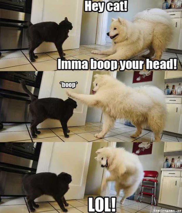 boop4