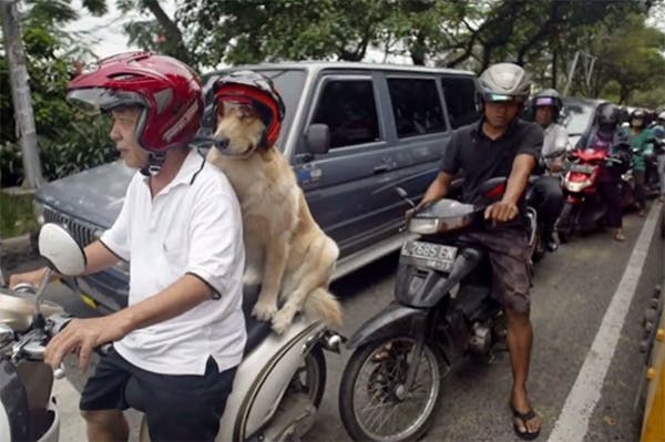 indonesia (15)