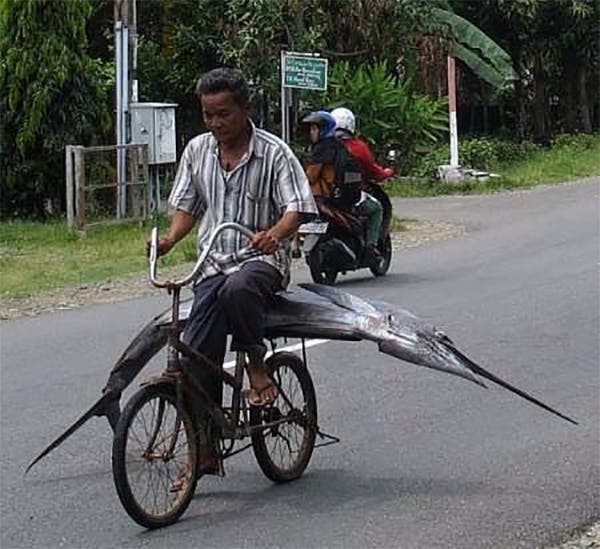 indonesia (17)
