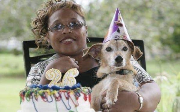 13 datos sorprendentes sobre los perros 13 datos sorprendentes sobre los perros