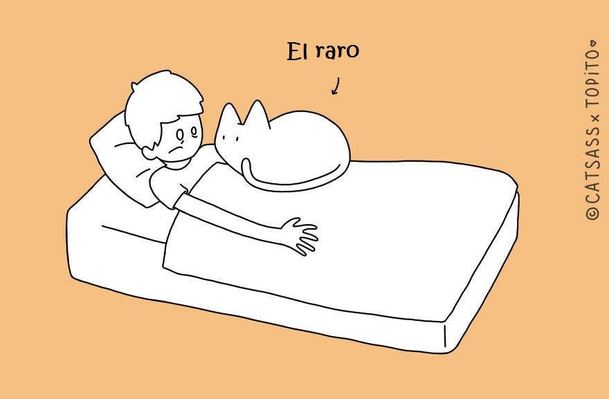 Las 10 posiciones que quienes duermen con su gato conocen muy bien… ¡Cuánta razón!