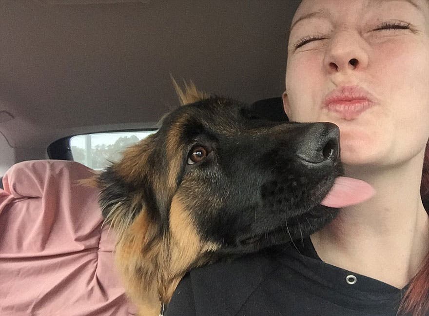Una pareja documenta lo rápido que ha crecido su perro…