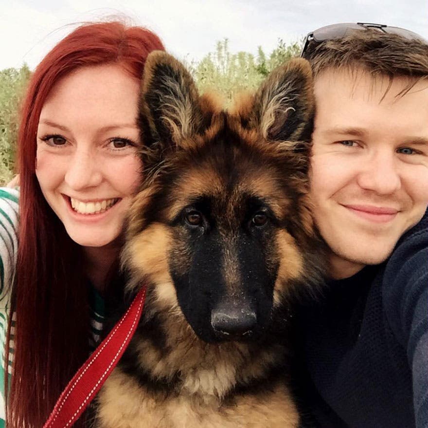 Una pareja documenta lo rápido que ha crecido su perro…