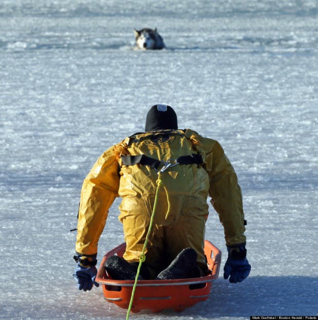 Dog rescued out of frozen lake