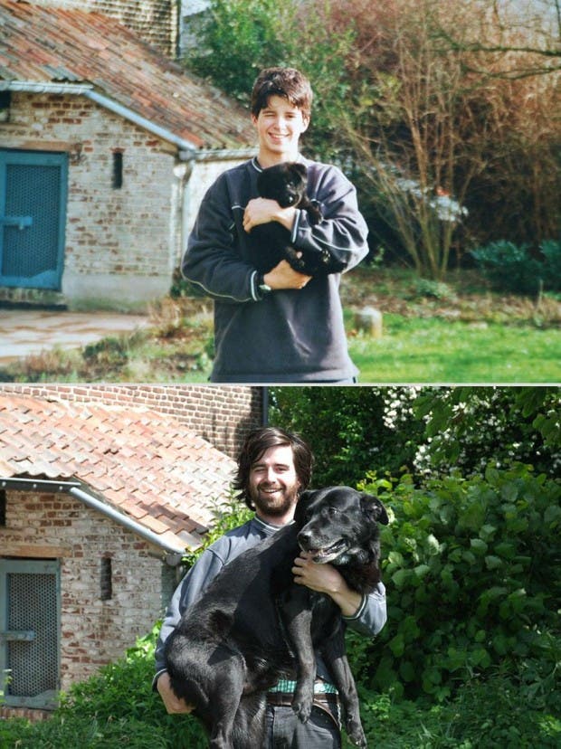 pets-before-after-7