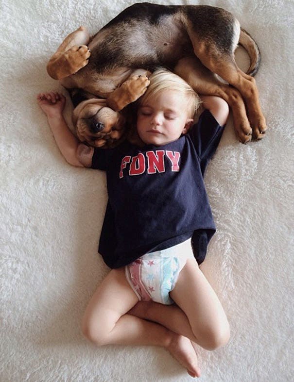 toddler-naps-with-puppy-theo-and-beau-2-10