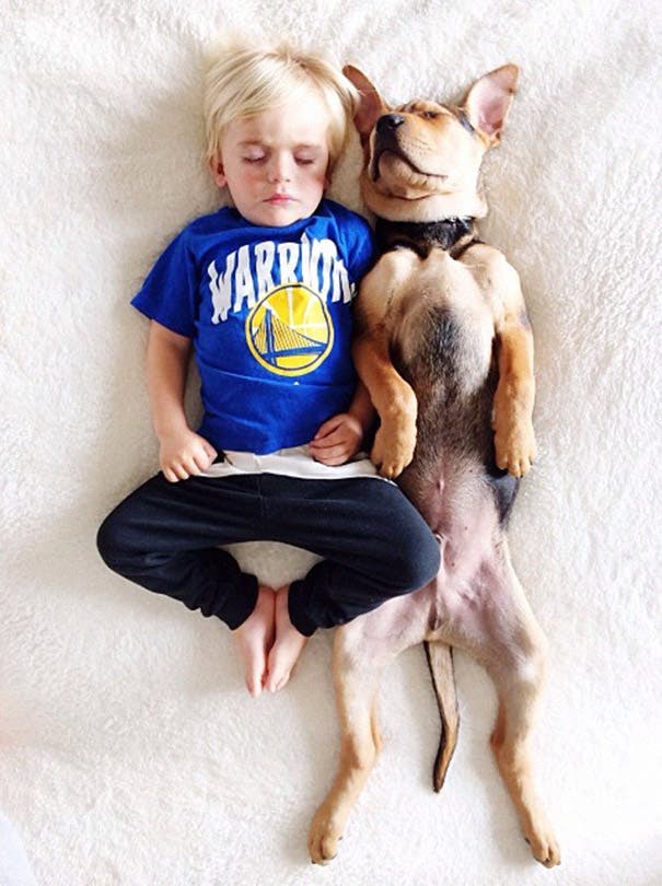 toddler-naps-with-puppy-theo-and-beau-2-11