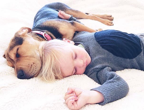 toddler-naps-with-puppy-theo-and-beau-2-17