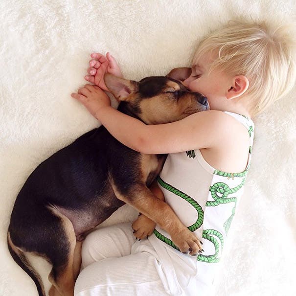 toddler-naps-with-puppy-theo-and-beau-2-19