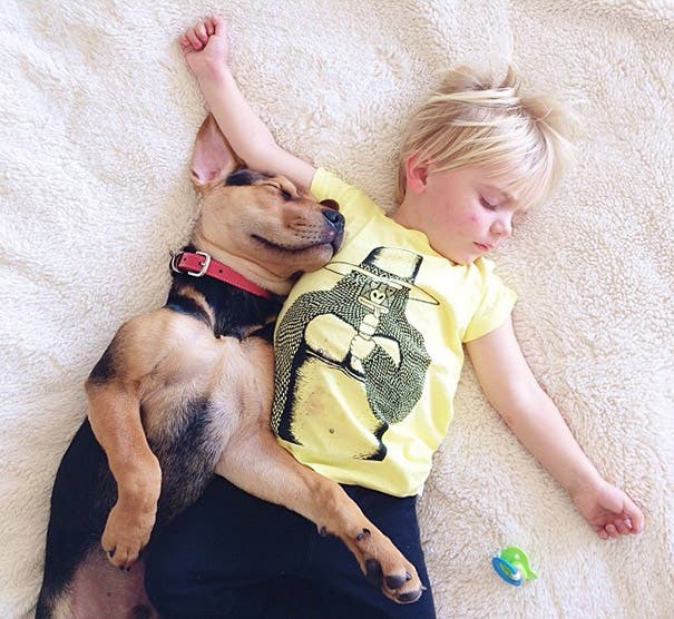 toddler-naps-with-puppy-theo-and-beau-2-3
