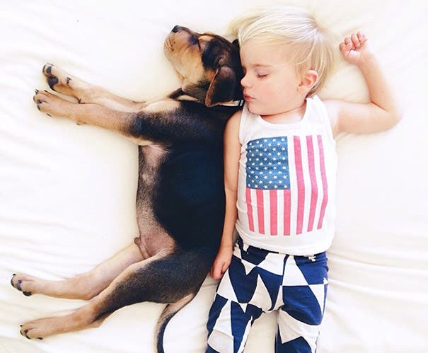 toddler-naps-with-puppy-theo-and-beau-2-5