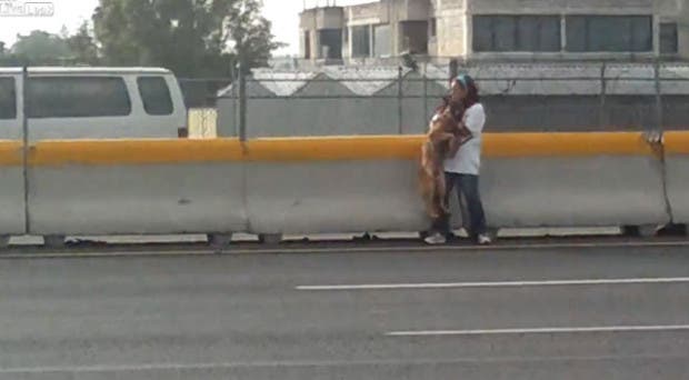 mujer-rescata-perro-autopista-ciudad-de-mexico