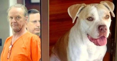 CASTIGO EJEMPLAR: 10 años de cárcel por atar a su perro a una camioneta y arrastrarlo 3 km