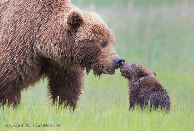 momentos tiernos25