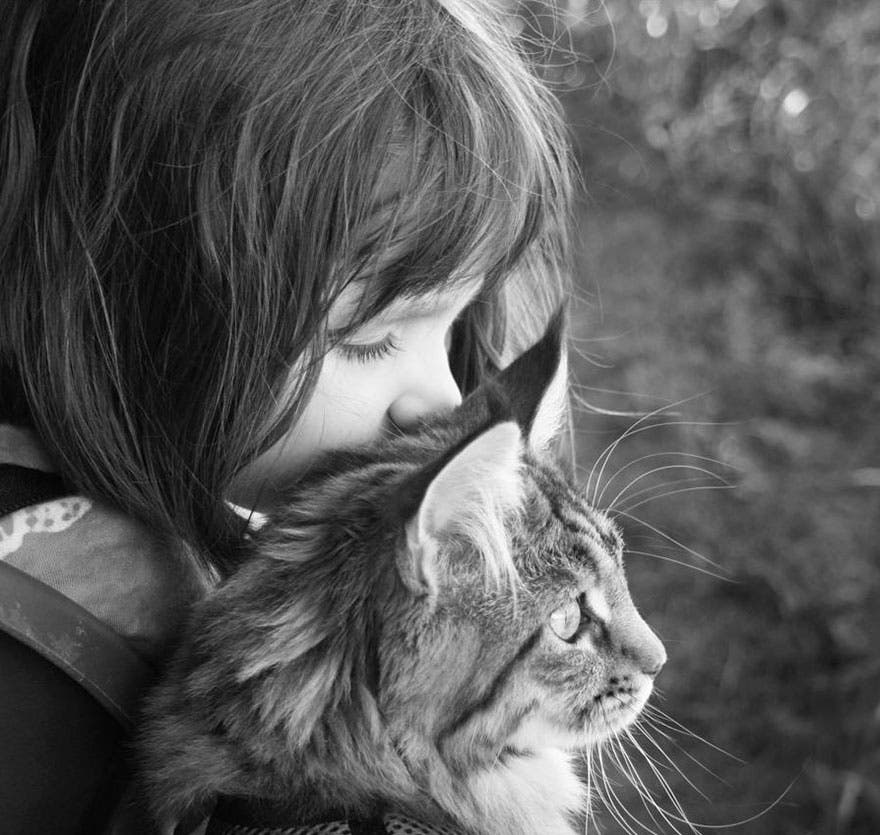 La Amistad Entre Esta Niña Autista De 5 Años Y Su Gato Terapéutico Conmueve A Miles De Personas