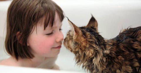 La amistad entre esta niña autista de 5 años y su gato terapéutico conmueve a miles de personas