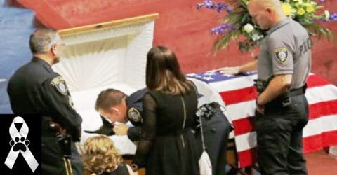 Policía de 4 patas recibe los máximos honores entre lágrimas de sus compañeros