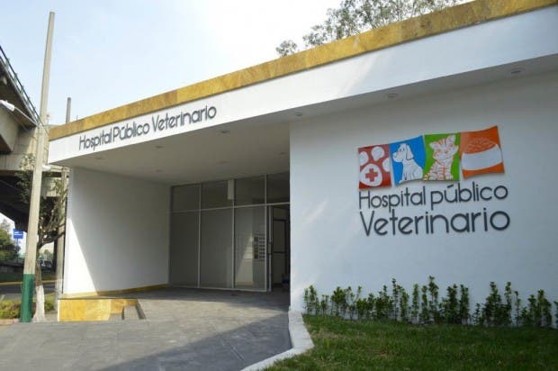 hospital público veterinario naucalpan