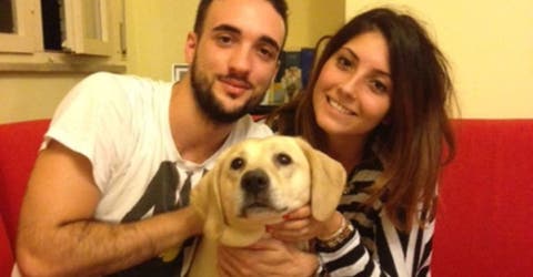 Así es la familia de Ettore, el perro que nos enseño a pedir perdón