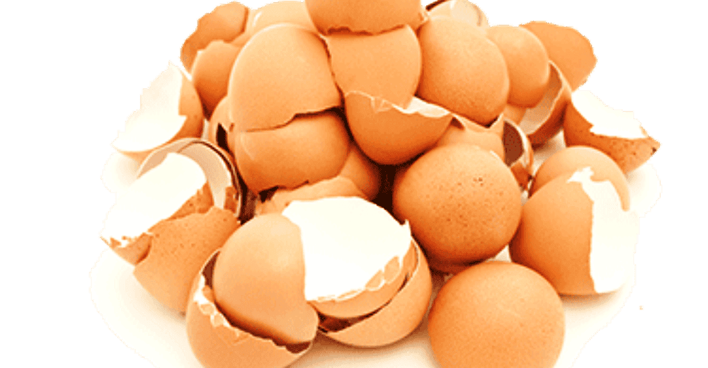 Cuando conozcas los beneficios de las cáscaras de huevo no volverás a tirarlas jamás