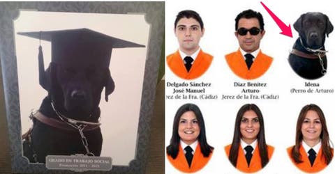 Esta promoción de graduados le rinde un especial homenaje a una compañera muy peculiar