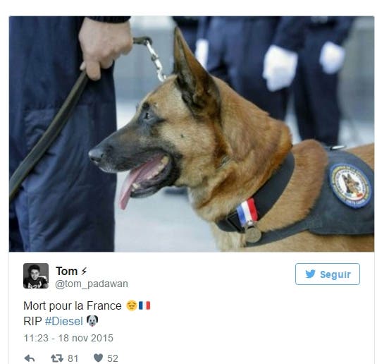 muerte-de-perro-policia-paris-redada2