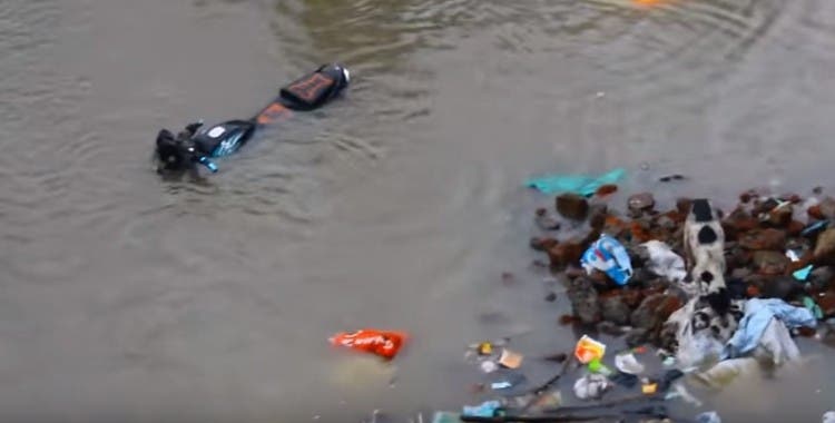 perro-rescata-sus-cachorros-en-inundacion-india4