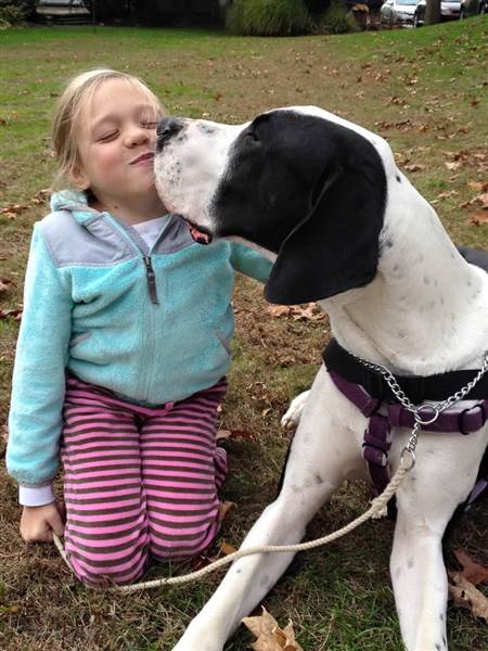 nina-camina-gracias-a-su-perro-gran-danes1 - copia