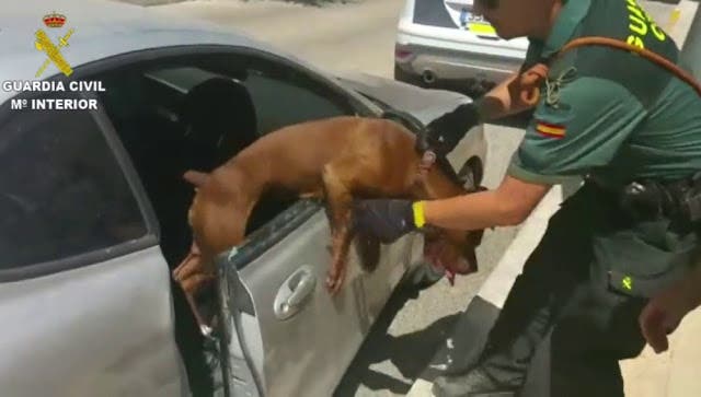 rescate-de-perro-encerrado-en-un-coche1