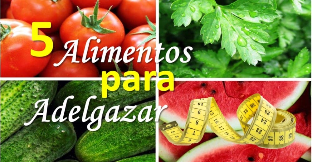 ¿Tienes algunos kilitos de más? Estos son los 5 alimentos de verano que ayudan a perder peso ¿Tienes algunos kilitos de más? Estos son los 5 alimentos de verano que ayudan a perder peso