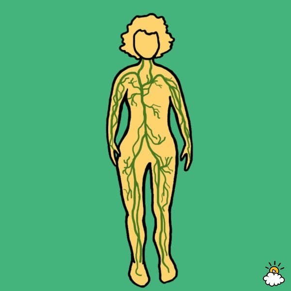 sorprendetes-beneficios-del-brocoli-3
