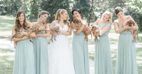 Reemplaza las flores de su boda para dar un poderoso mensaje al mundo y el resultado es adorable