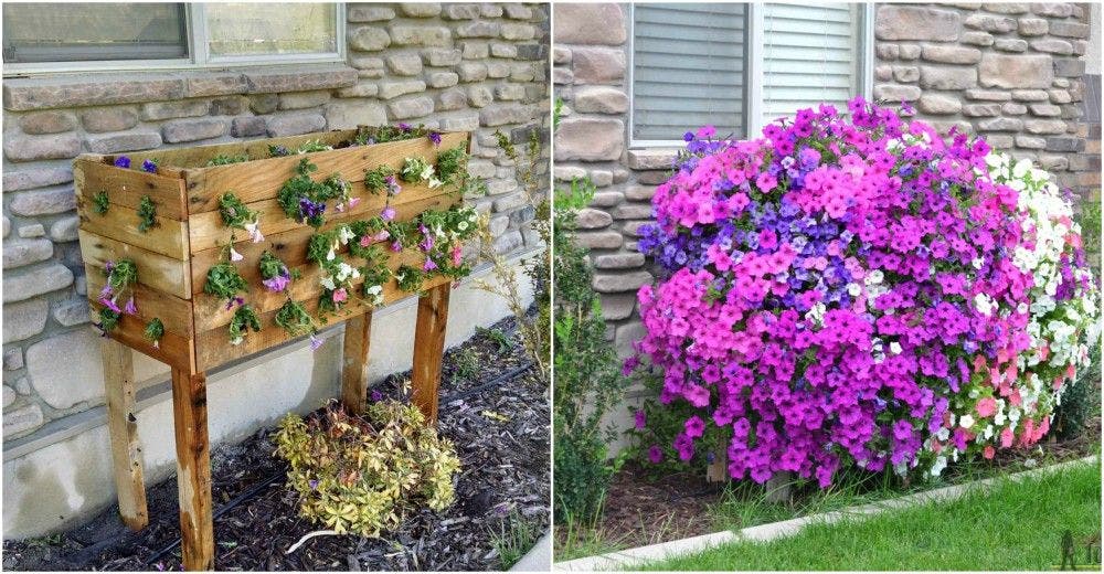 ¿Sabes cómo hacer una hermosa cascada de flores para tu casa?