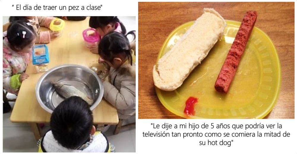 13 niños que se tomaron las cosas de una manera demasiado literal…