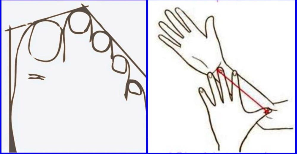 9 características de tu cuerpo que revelan importantes secretos de tu salud y personalidad 9 características de tu cuerpo que revelan importantes secretos de tu salud y personalidad