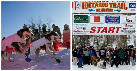 Alaska organiza una carrera de perros de 1600 km que dura entre 9 y 15 días