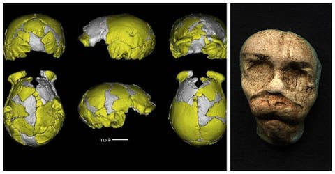Encontraron en China cráneos que podrían pertenecer a un nuevo humano de más de 100 mil años