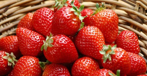 ¿Ya conoces los 10 beneficios de comer fresas?