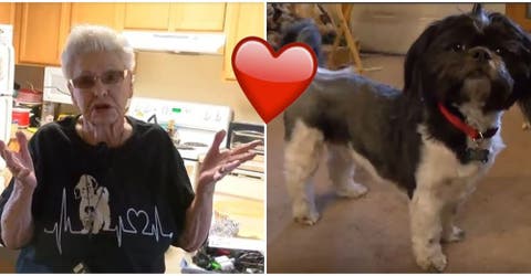 Oreo, el perrito que salvó a una señora de 91 años de una trágica muerte en su casa