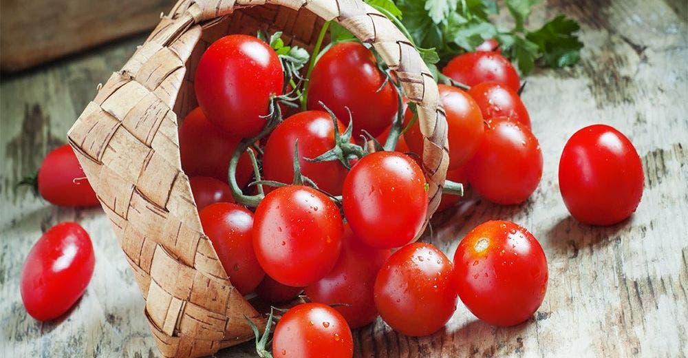 No compres más tomates cherry… ¡Aprende a cultivarlos, es muy fácil!
