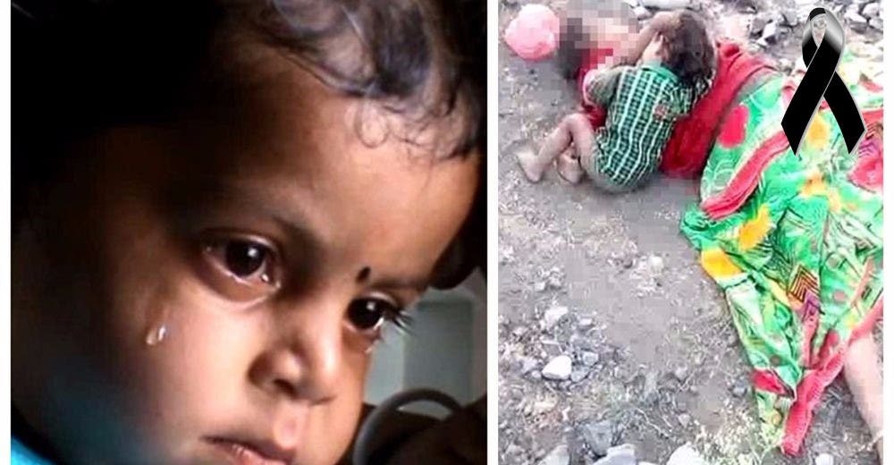 Sin saber que su madre había fallecido intentaba tomar leche materna de su pecho Sin saber que su madre había fallecido intentaba tomar leche materna de su pecho